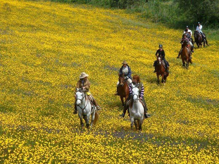 فيلا Monte Dos Aroeirais فرونتييرا المظهر الخارجي الصورة